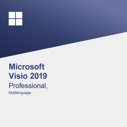 Microsoft Visio 2019 Professional, Multilingv