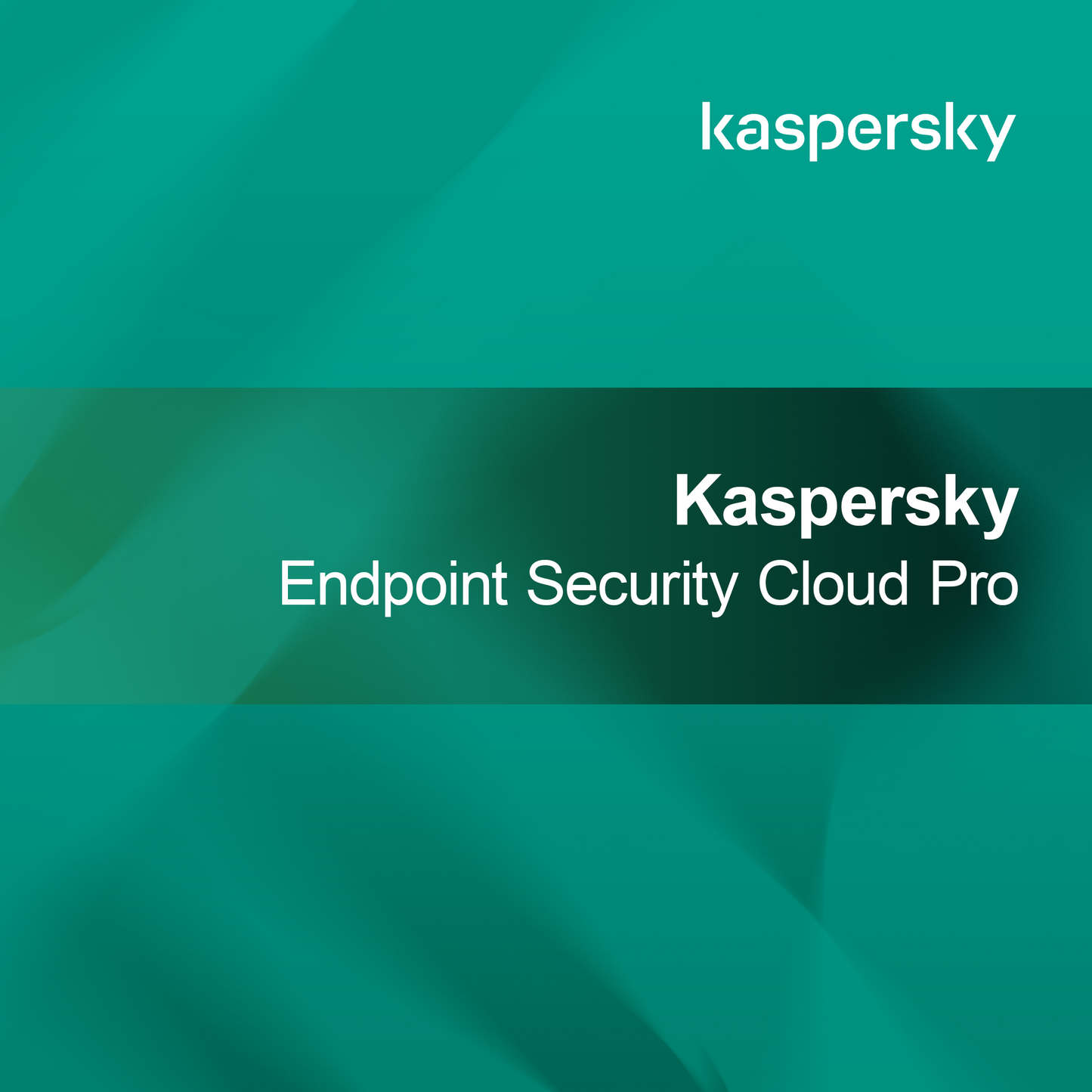 Kaspersky Segurança de Endpoint Cloud Pro